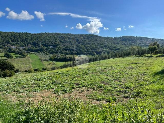 Terreno in vendita a Calvi Dell'umbria, Umbria