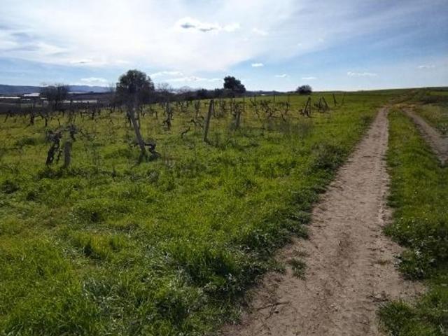 Terreno in vendita a Grammichele, Sicilia