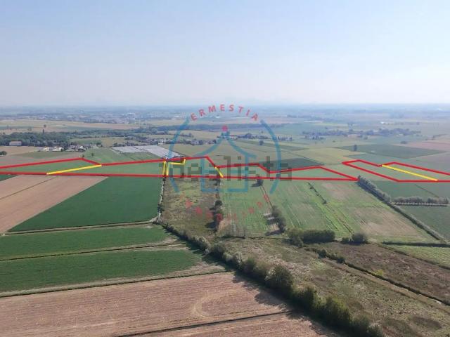Terreno in vendita a Altaura, Casale di Scodosia