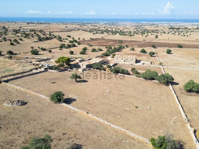 Terreno in vendita a Santa Croce Camerina, Sicilia