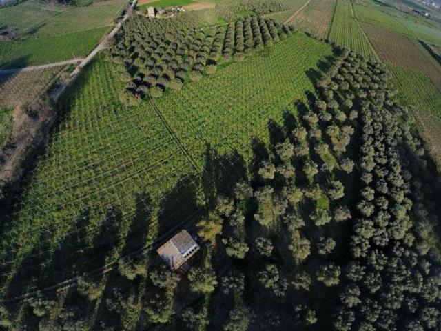 Terreno in vendita a Casalbordino, Abruzzo