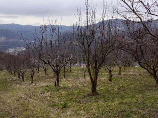 Terreno in vendita a Chiampo, Veneto