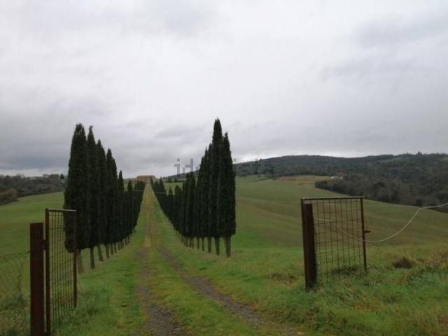 Terreno in vendita a Vescovado, Murlo