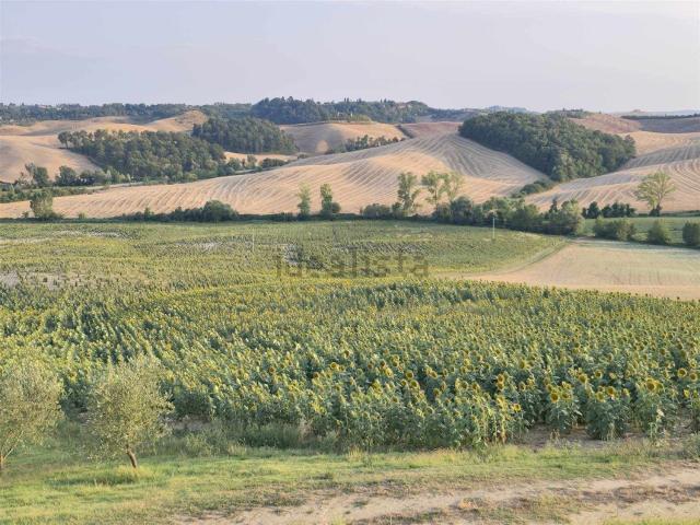 Terreno in vendita a Castelnuovo Berardenga, Toscana