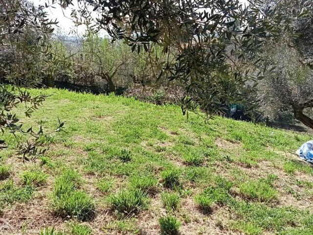 Terreno in vendita a San Silvestre, Silvi