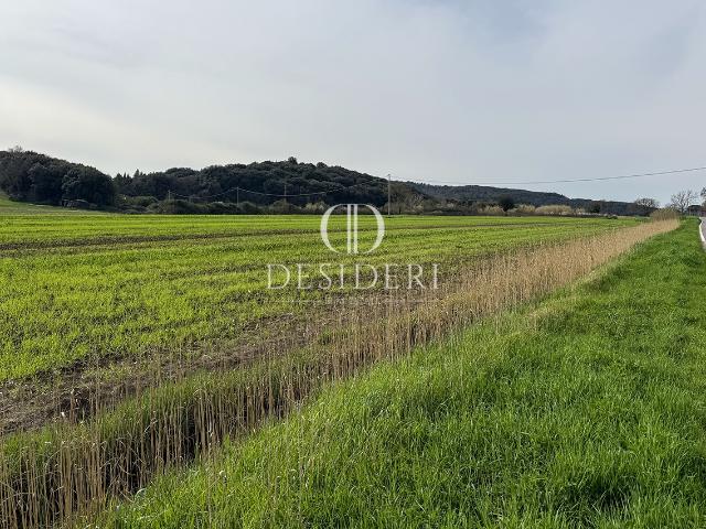 Terreno in vendita a Massa Marittima, Toscana
