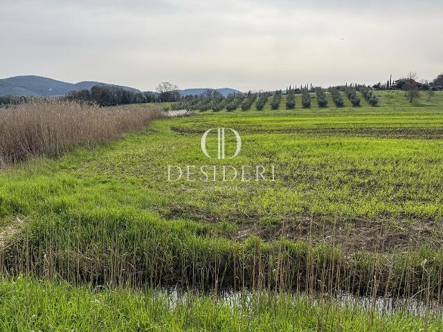 Terreno in vendita a Padule di Moreta, Massa Marittima