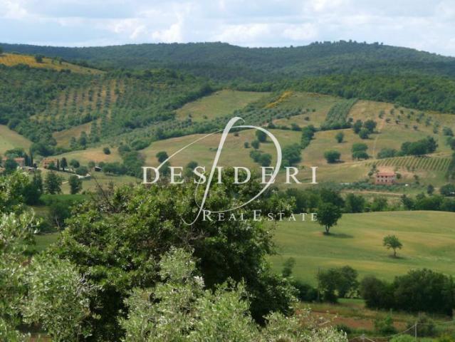 Terreno in vendita a Campagnatico, Toscana