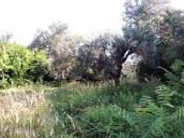 Terreno in vendita a Scafa, Abruzzo