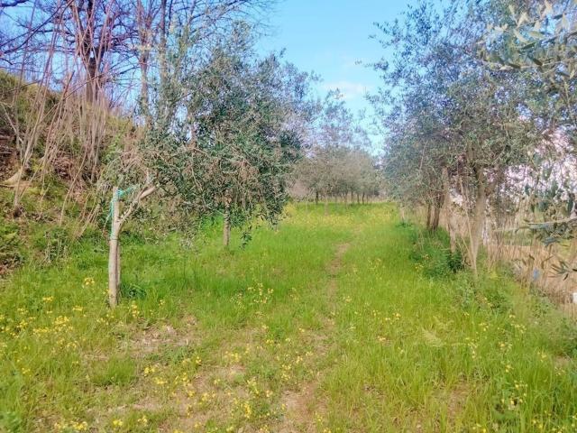 Terreno in vendita a Cava De' Tirreni, Campania