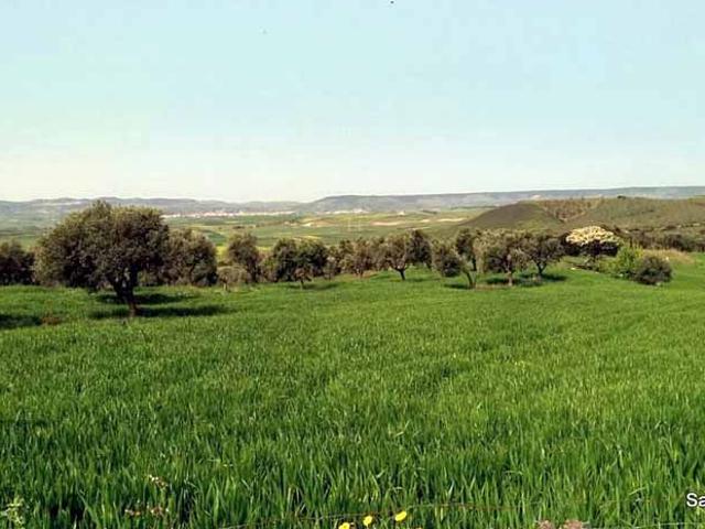 Terreno in vendita a Villanovafranca, Sardigna/Sardegna