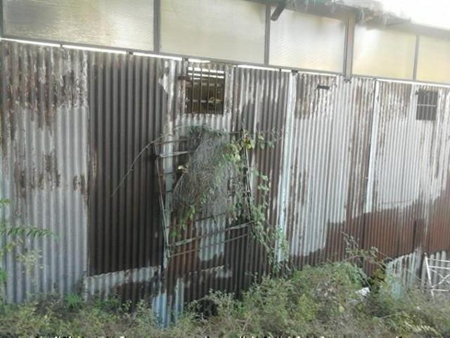 Terreno in vendita a Campania