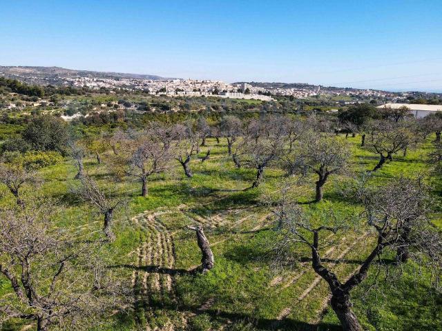 Terreno in vendita a Noto, Sicilia