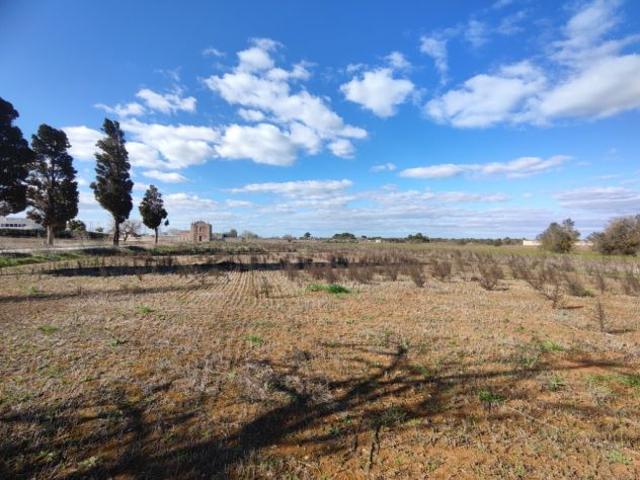 Terreno in vendita a Puglia, Lecce