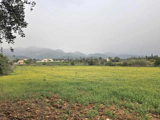 Terreno en venta en Raiguer, Baleares