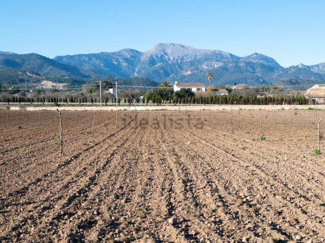 Terreno en venta en Raiguer, Baleares