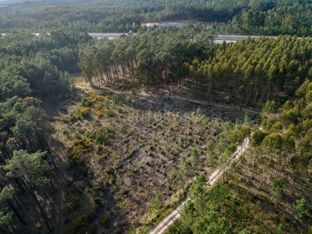 Terreno venda em Maceira, Leiria