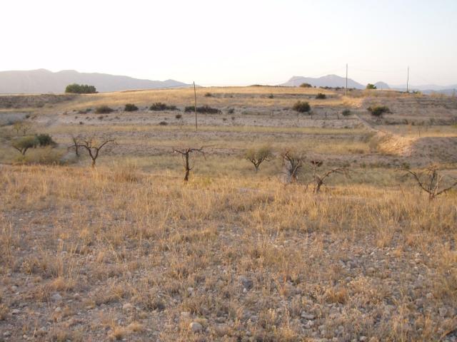 Terreno en alquiler en La Cruz, Novelda