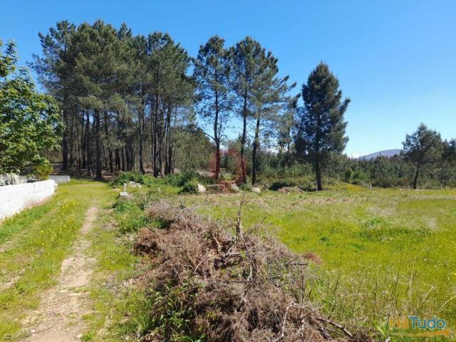 Terreno venda em Monção, Viana Do Castelo
