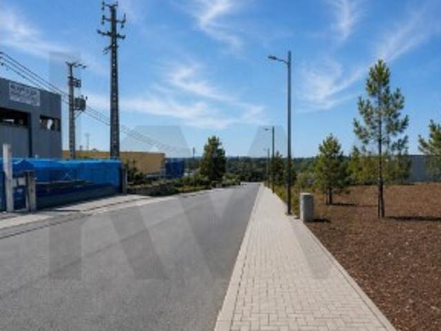 Terreno venda em Pombal, Leiria