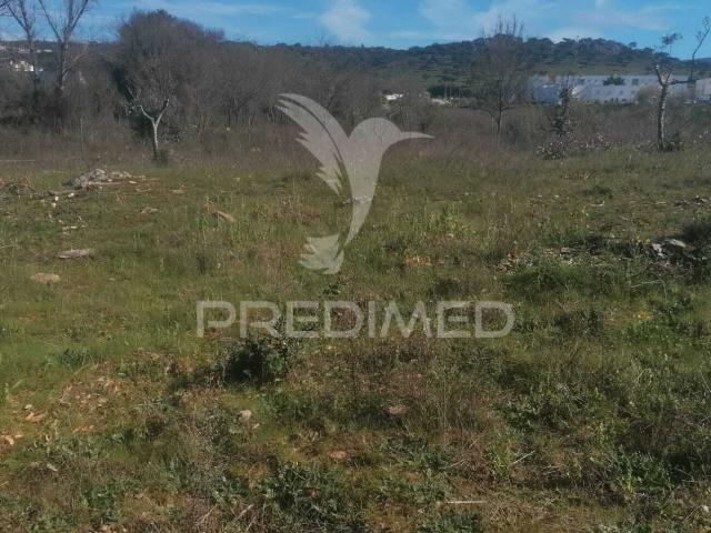 Terreno venda em Sé e São Lourenço, Portalegre