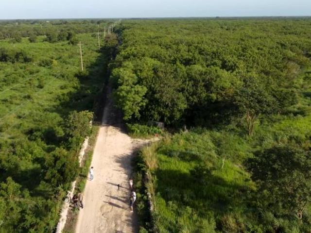 Terreno Industrial 7 Ha en Kinchil, $2,2M MXN – Cerca de Mérida y Progreso