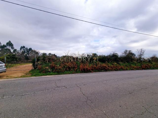Terreno venda em Fundo de Oleiros, Grovelas São João Evangelista