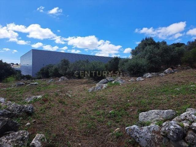 Terreno venda em Douroana, Cascais