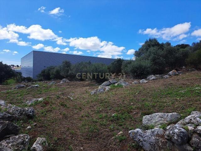 Terreno venda em Douroana, Alcabideche