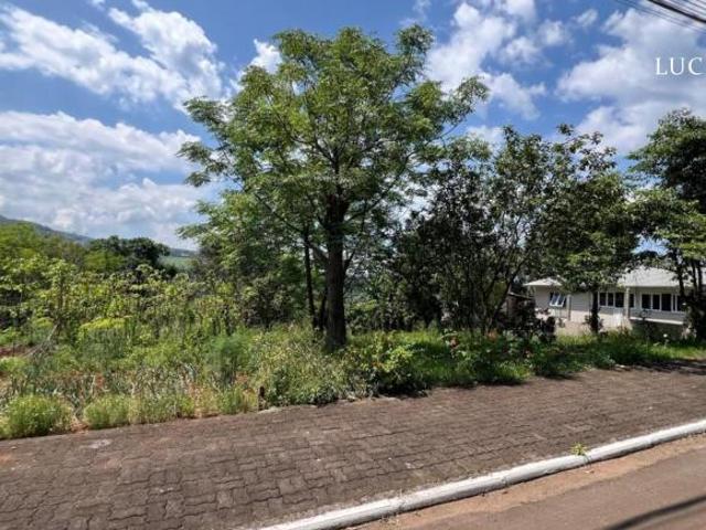 Terreno venda em Região Geográfica Imediata de Caxias do Sul, Alto Feliz