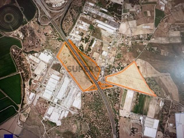 Terreno venda em Benavente