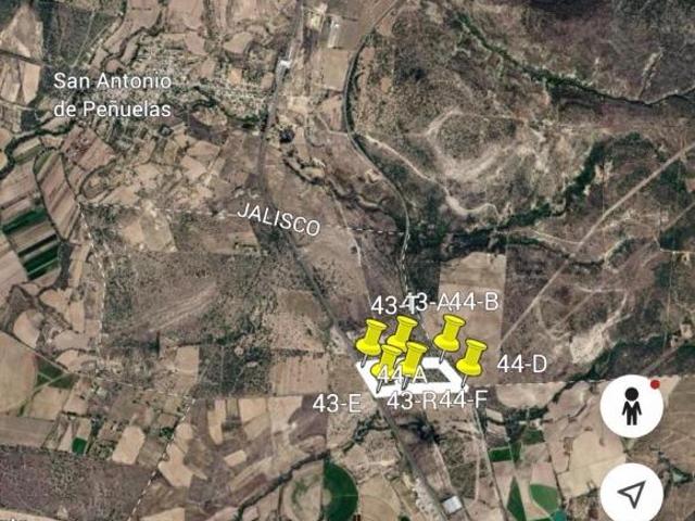 Terreno en venta en Encarnación de Díaz, Región Altos Norte