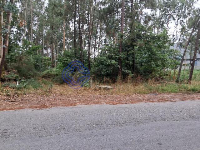 Terreno venda em Vandoma, Paredes