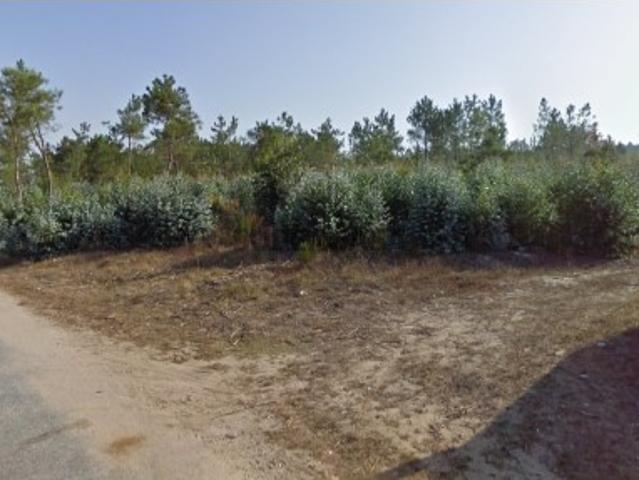 Terreno venda em Torres Vedras, Palhagueiras Terreno venda em Torres Vedras, Palhagueiras