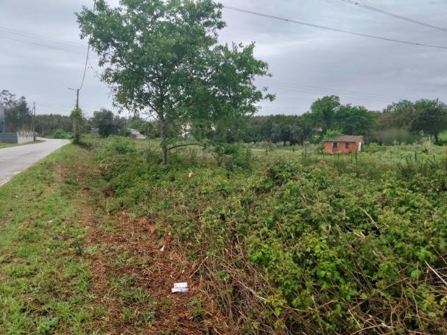 Terreno venda em Albergaria-a-Velha e Valmaior, Albergaria-a-Velha