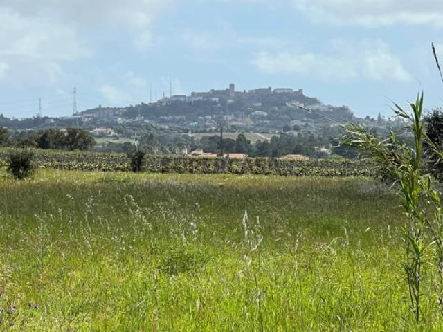 Terreno venda em Palmela, Setúbal