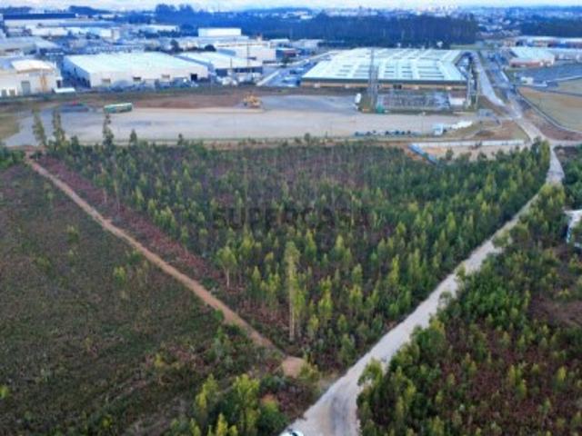 Terreno venda em Albergaria-a-velha, Aveiro