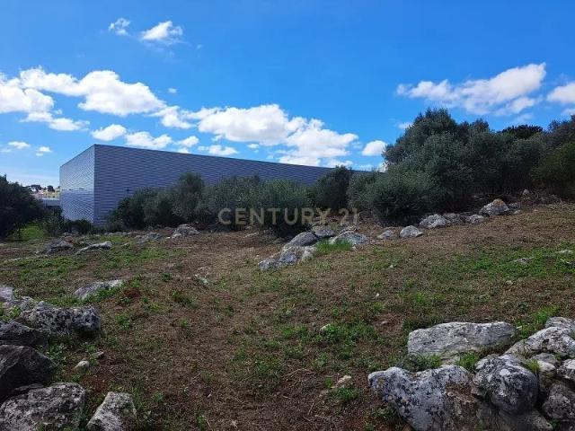 Terreno venda em Douroana, Cascais
