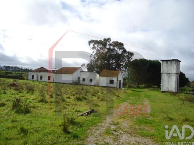 Terreno venda em Palmela, Setúbal