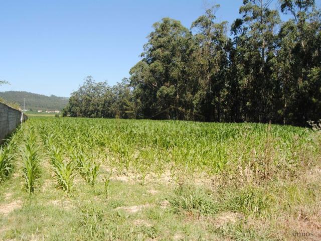 Terreno venda em A Ver-o-mar, Porto