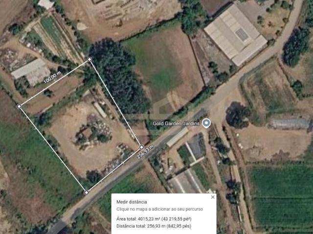 Terreno venda em Monte Alegre, Vila Nova de Famalicão