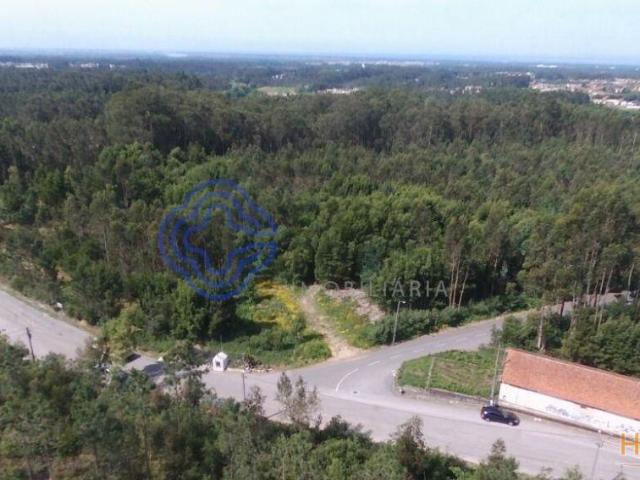 Terreno venda em Ovar, Aveiro