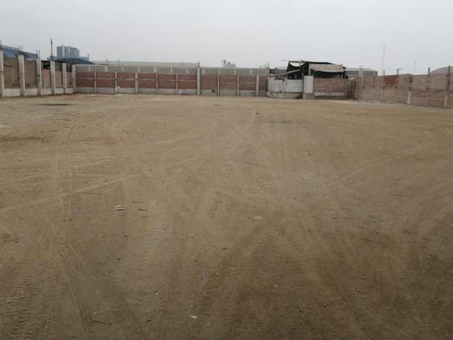 Terreno alquiler en Lurin, Lima Metropolitana