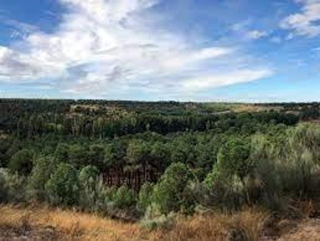 Terreno en venta en Navas De Oro