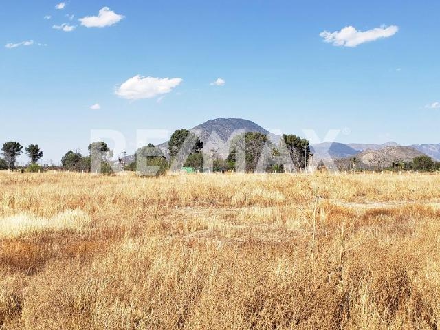 Terreno en renta en Saltillo, Coahuila