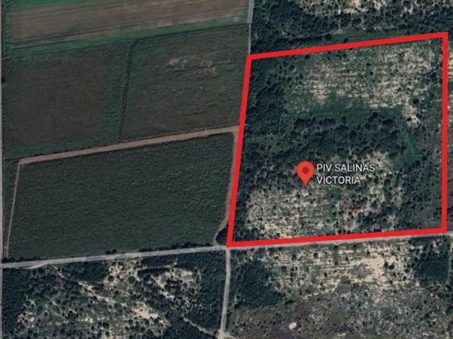 Local Comercial en renta en Salinas Victoria, Nuevo León