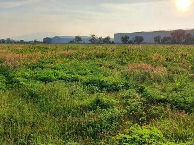 Terreno en venta en Zamora, Michoacán