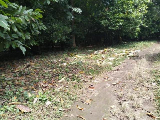 Terreno en venta en Huixtla, Chiapas