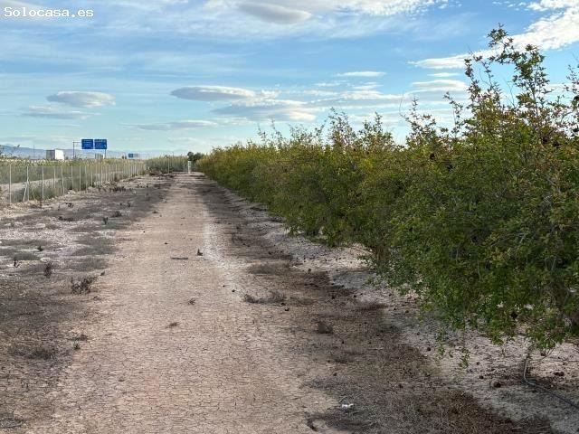 Local Comercial en venta en el Baix Segura / La Vega Baja, Valencia