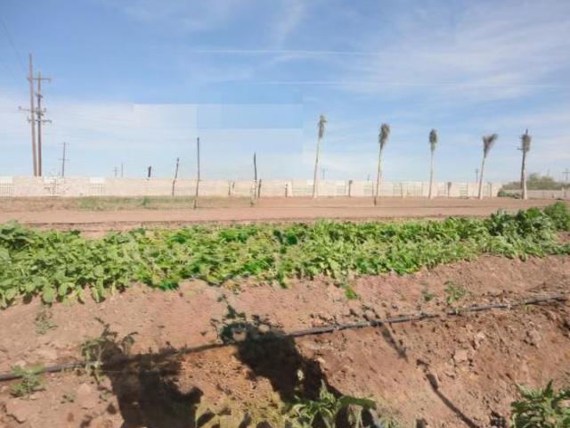 Terreno en venta en Guasave, Sinaloa